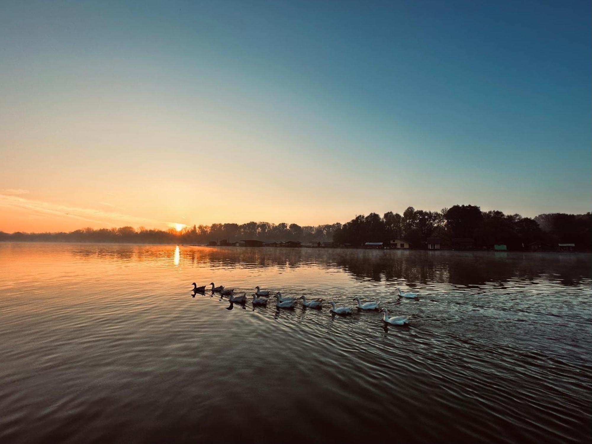 Swan Hotell Belgrad Exteriör bild